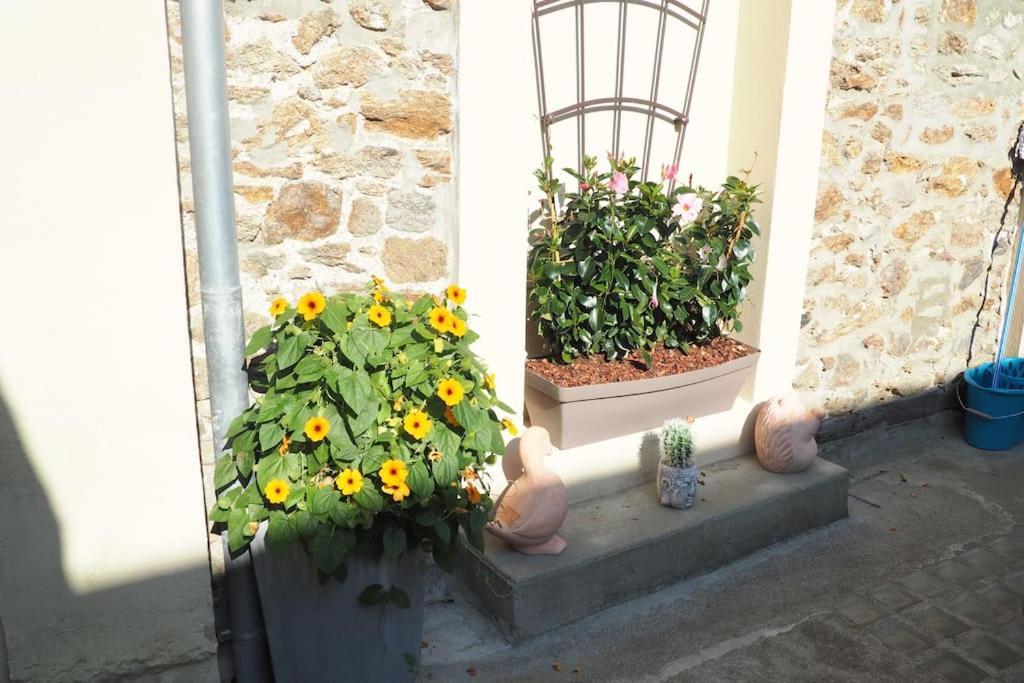 Appartement Duplex Et Terrasse A St Servan-St Malo Saint-Malo Eksteriør bilde